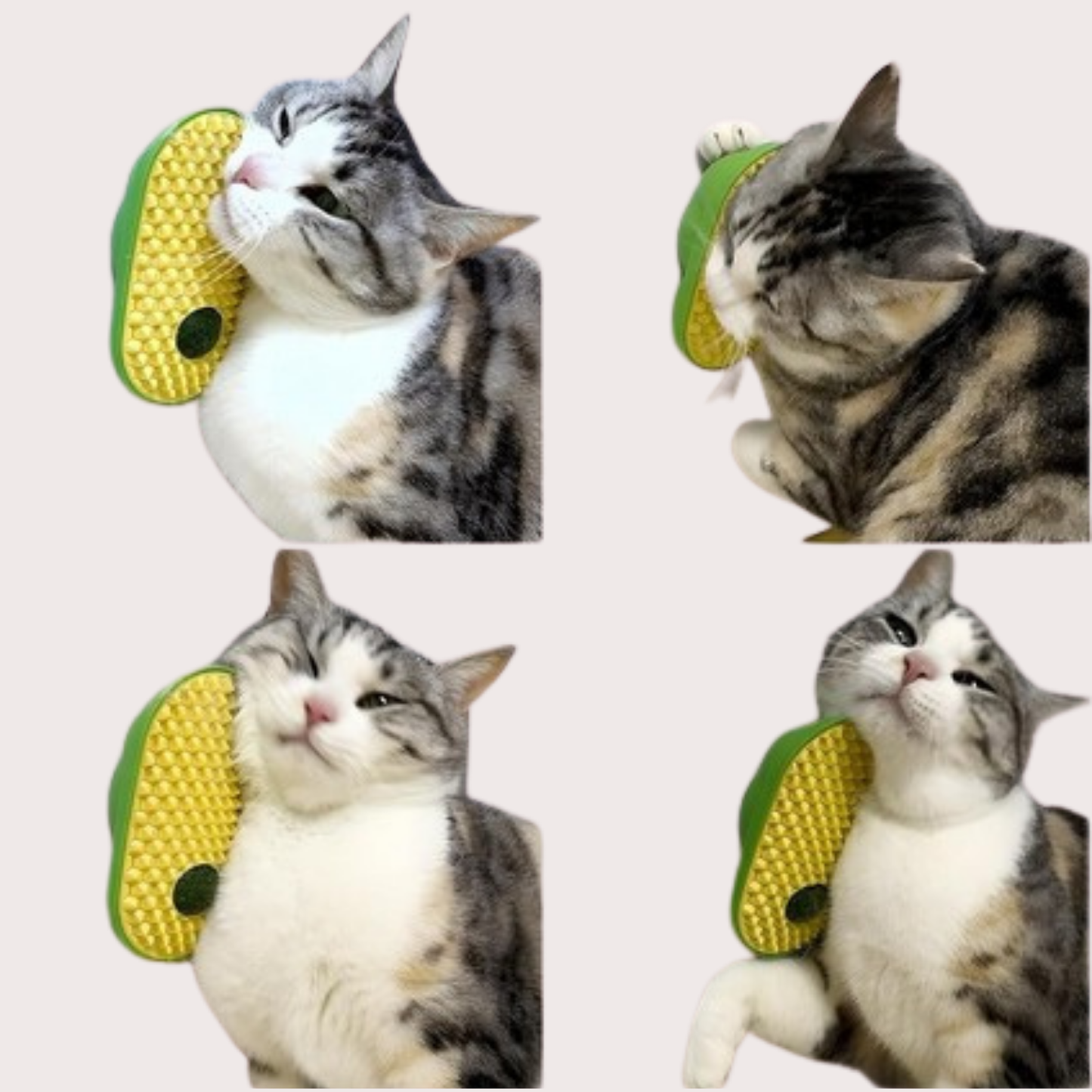 PatiKöşk™ Silikon Kaşıyıcılı Kedi Otu