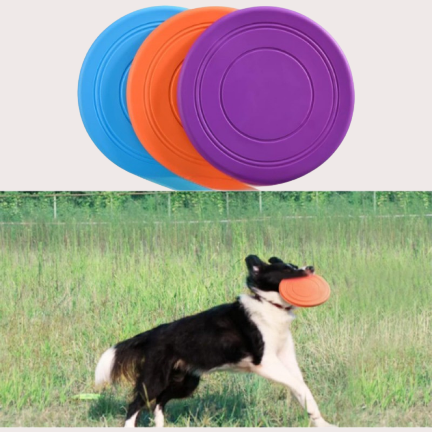 PatiKöşk™ Silikon Frizbi Köpek Oyuncağı (Ürün Kodu: PK 135)