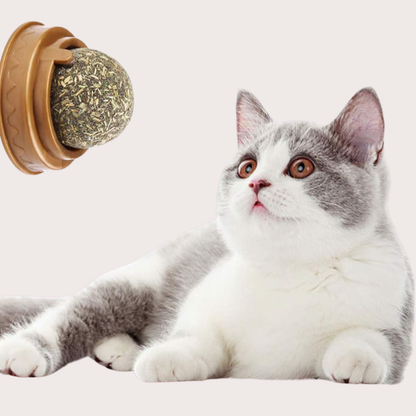 PatiKöşk™ Kedi Nanesi Oyun Topu