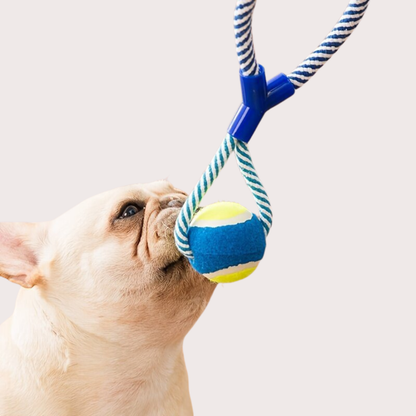 PatiKöşk™ Halatlı Köpek Çiğneme Topu