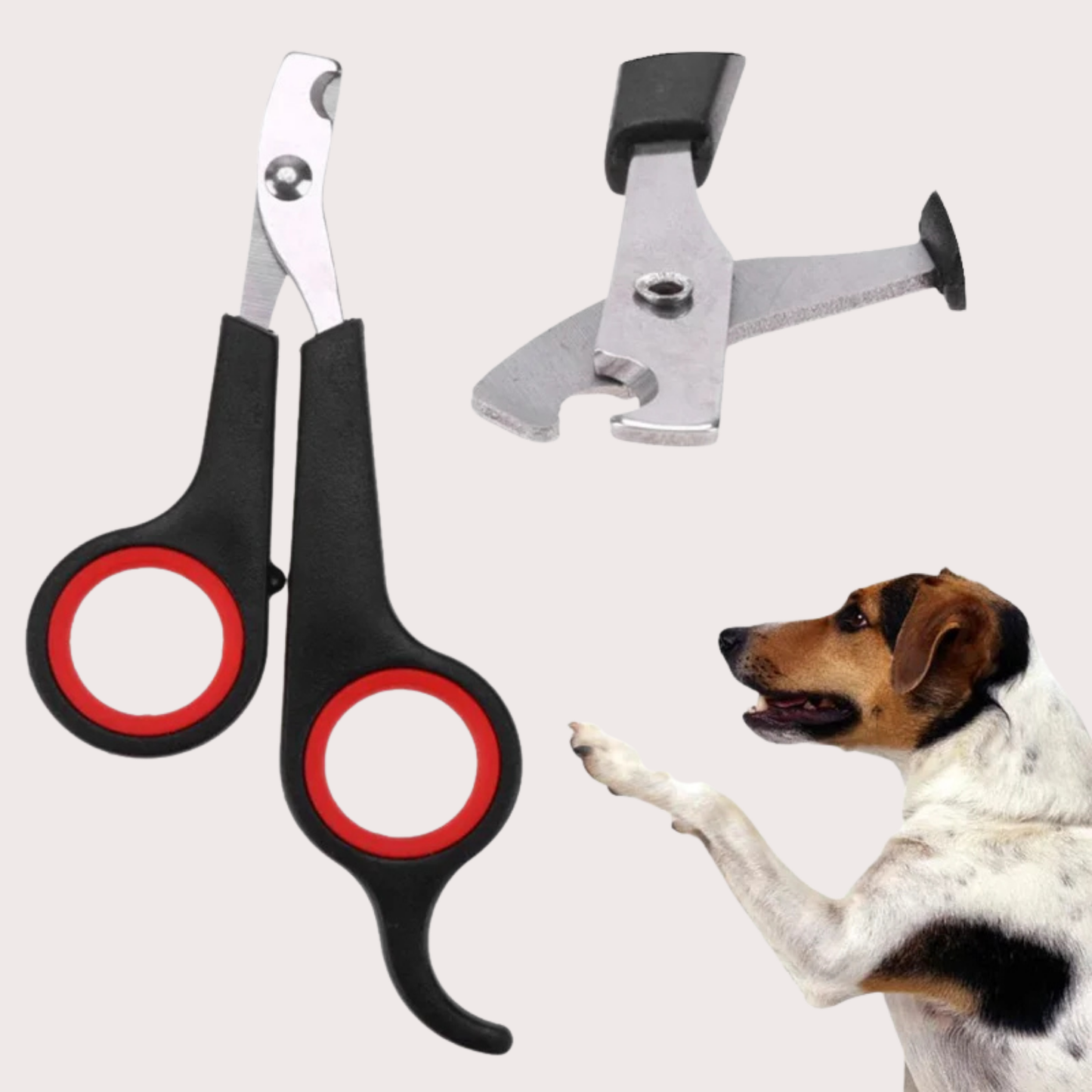 PatiKöşk™ Renkli Evcil Hayvan Tırnak Makası