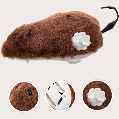 PatiKöşk™ Kurmalı Fare Kedi Eğitim Oyuncağı (Ürün Kodu: PK 81)