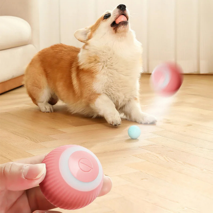 PatiKöşk™ Etkileşimli Otomatik Şarjlı ve Hareketli Kedi Köpek Oyuncağı
