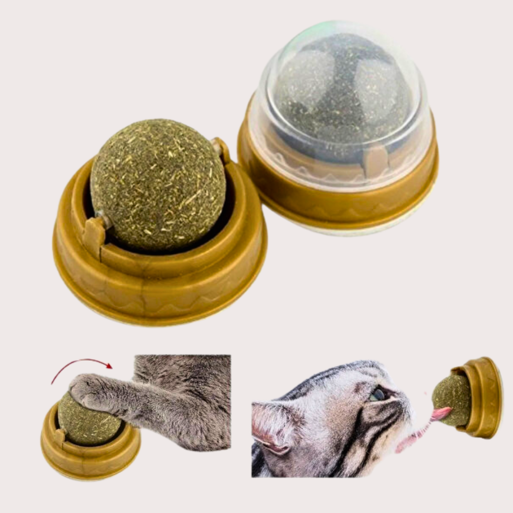 PatiKöşk™ Kedi Nanesi Oyun Topu