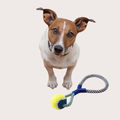 PatiKöşk™ Halatlı Köpek Çiğneme Topu