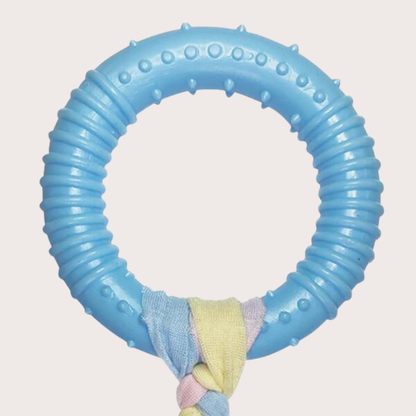 PatiKöşk™ Dayanıklı Köpek Diş Kaşıyıcı Ve Çiğneme Oyuncağı (Ürün Kodu: PK 172)