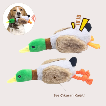 PatiKöşk™ Sesli Ördek Şekilli Peluş Köpek Oyuncağı (Ürün Kodu: PK 85)