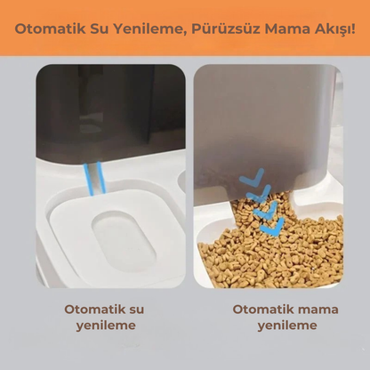 PatiKöşk™ 2'si 1 Arada Otomatik Kedi Mama ve Su Kabı (Ürün Kodu: PK 182)