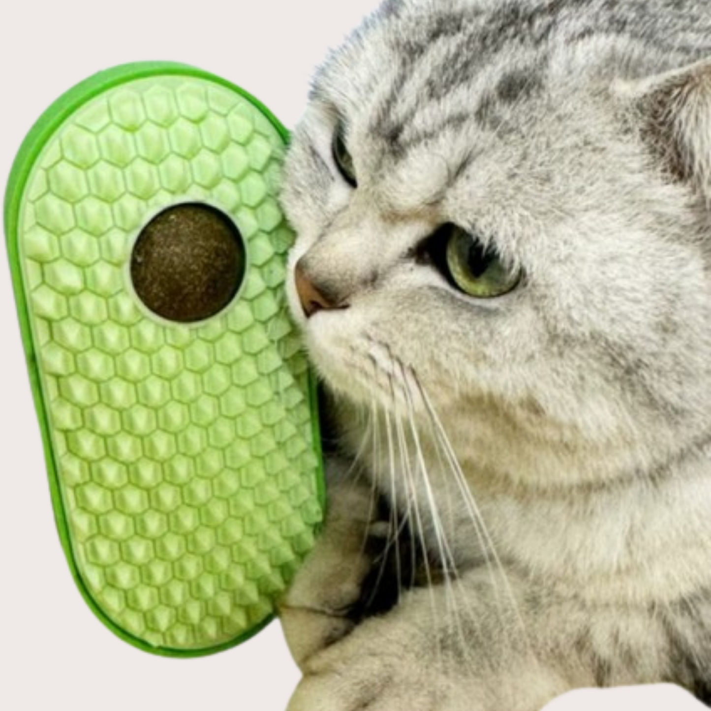 PatiKöşk™ Silikon Kaşıyıcılı Kedi Otu