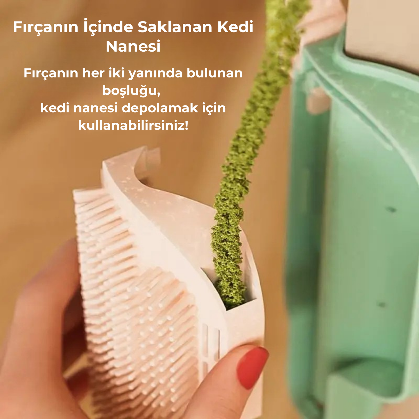 PatiKöşk™ Kedi Otu Hazneli Kedi Kaşınma Aparatı