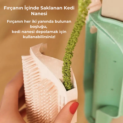 PatiKöşk™ Kedi Otu Hazneli Kedi Kaşınma Aparatı