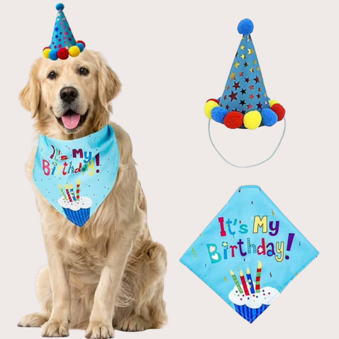 PatiKöşk™ Köpekler İçin Doğum Günü Partisi Seti (Ürün Kodu: PK 97)
