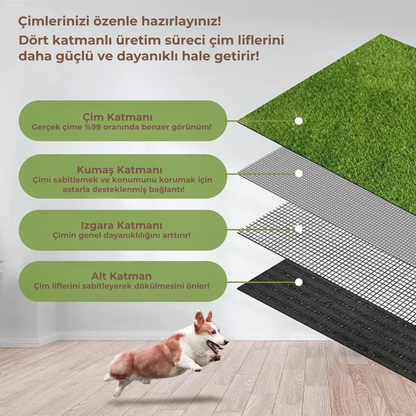 PatiKöşk™ Köpek Tuvalet Eğitim Seti (Ürün Kodu: PK 60)