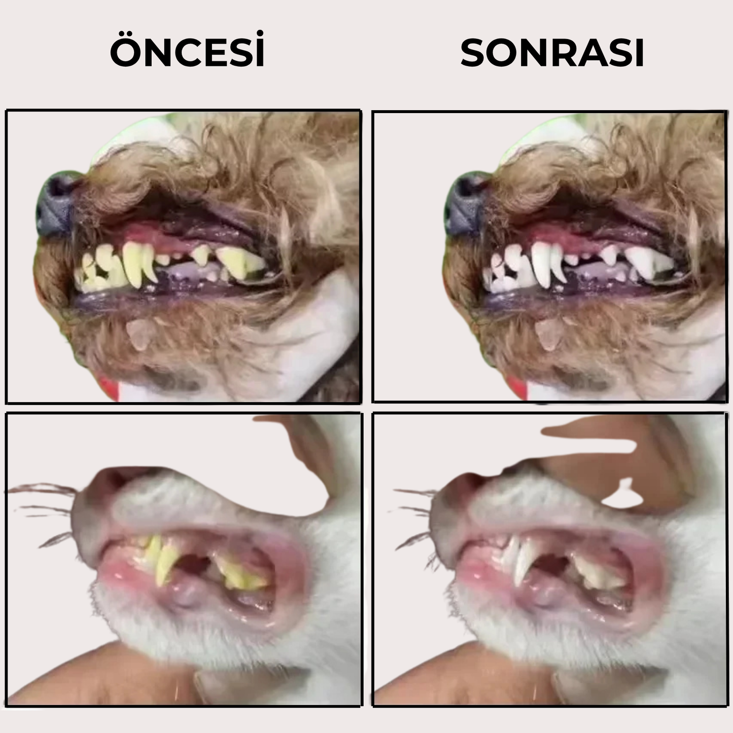 PatiKöşk™ Süper Yumuşak Evcil Hayvan Parmak Diş Fırçası 4'lü Paket