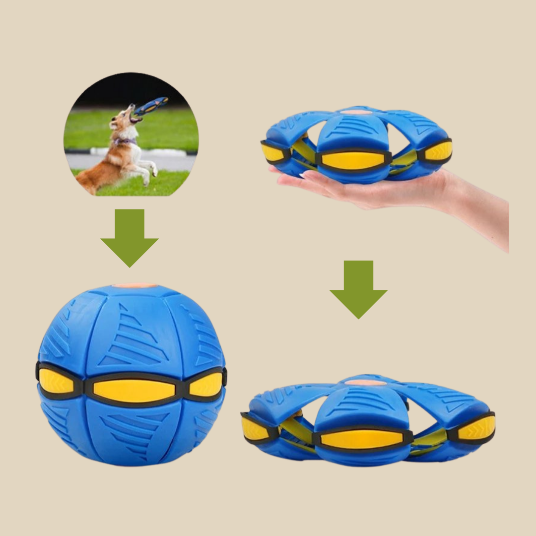 PatiKöşk™ Işıklı Zıplayan Frizbi Evcil Hayvan Uçan Ufo Topu (Ürün Kodu: PK 35)