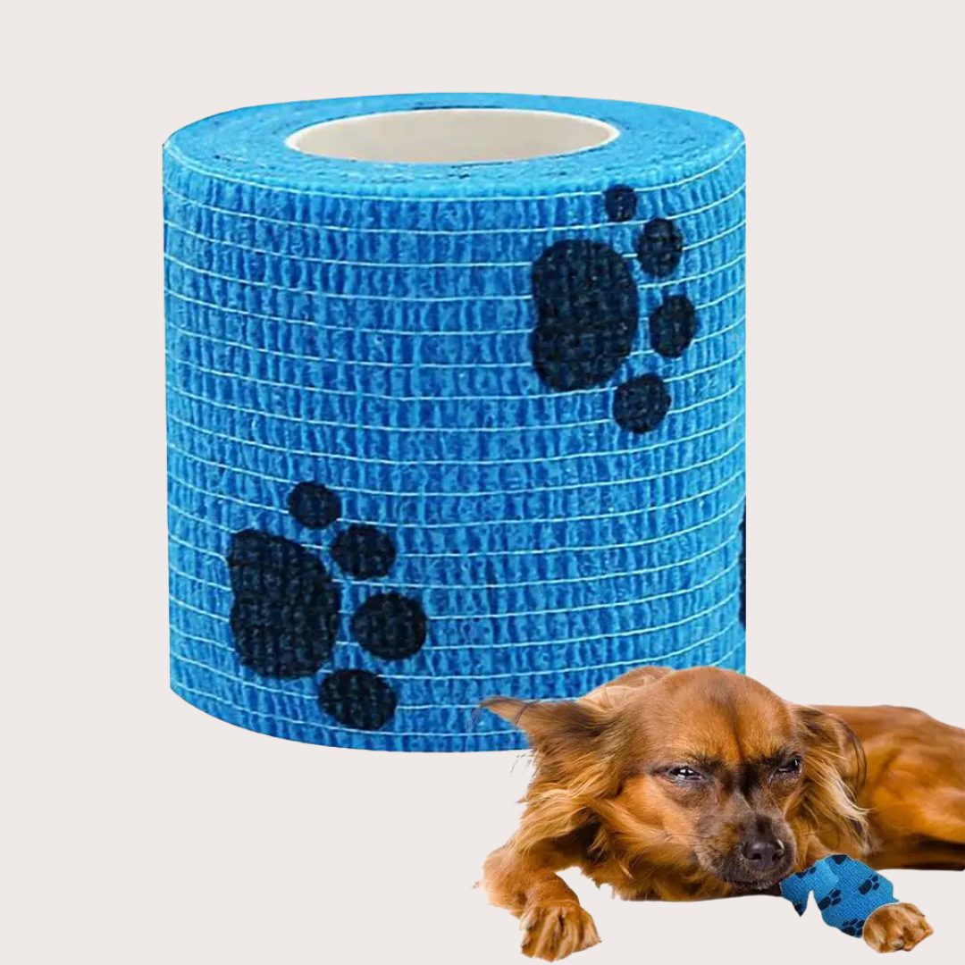 PatiKöşk™ Pati Bandajı