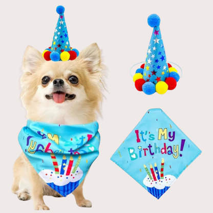 PatiKöşk™ Köpekler İçin Doğum Günü Partisi Seti (Ürün Kodu: PK 97)