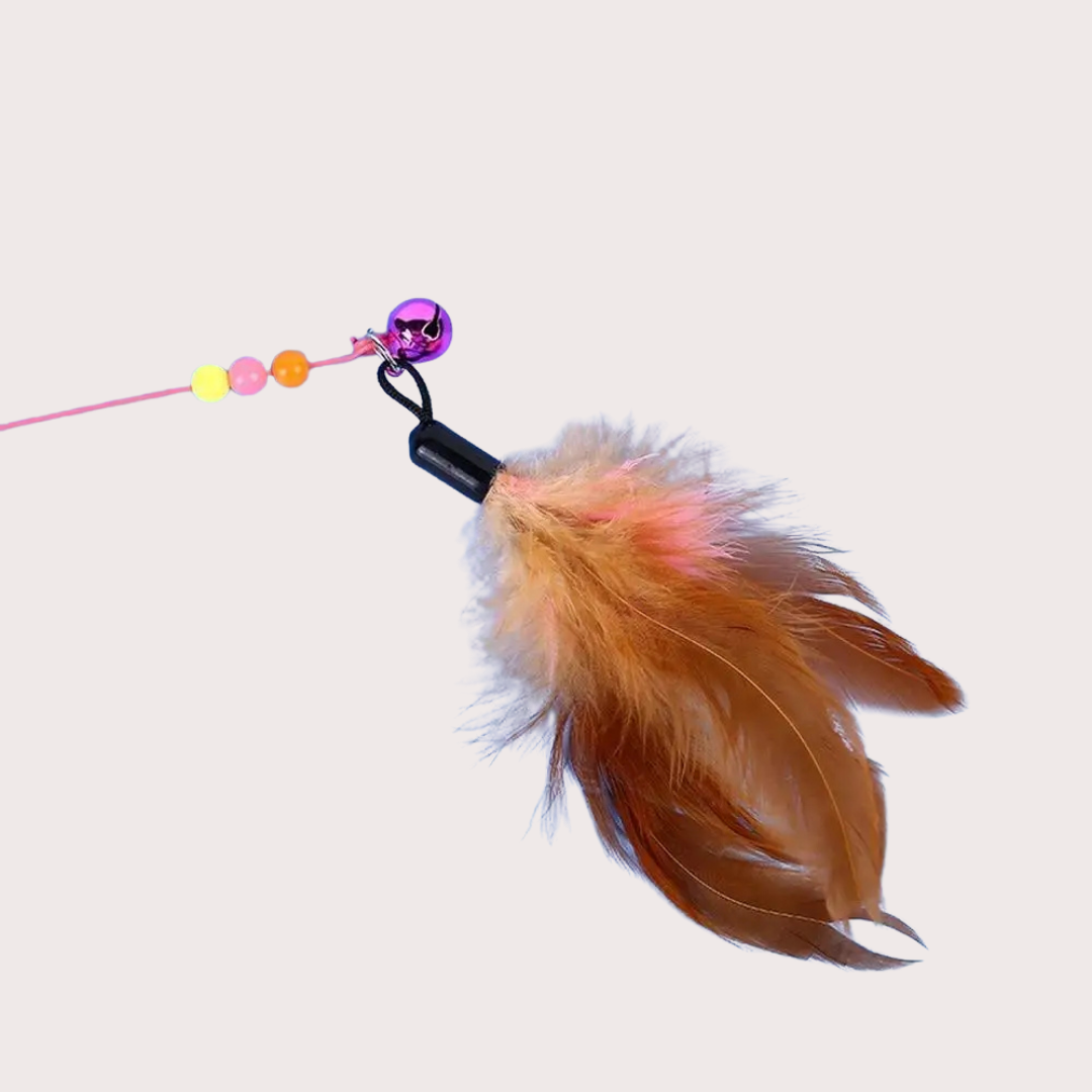 PatiKöşk™ Kedi Oyun Oltası (Ürün Kodu: PK 107)