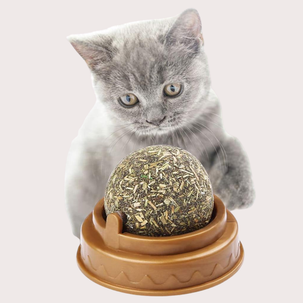 PatiKöşk™ Kedi Nanesi Oyun Topu