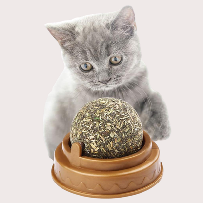 PatiKöşk™ Kedi Nanesi Oyun Topu