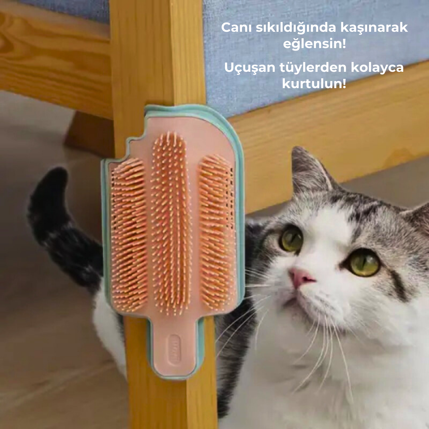 PatiKöşk™ Kedi Otu Hazneli Kedi Kaşınma Aparatı