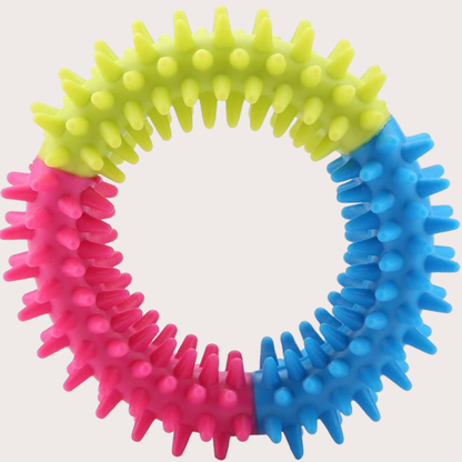 PatiKöşk™ Köpek Isırma Diş Kaşıma Çemberi