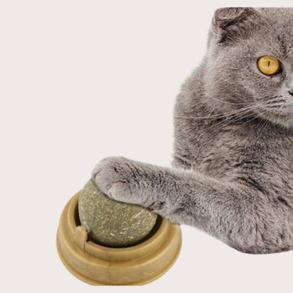 PatiKöşk™ Kedi Nanesi Oyun Topu