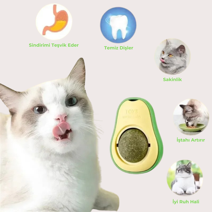 PatiKöşk™ Kedi Nanesi Avokado Oyun Topu