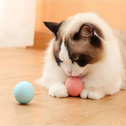 PatiKöşk™ Etkileşimli Otomatik Şarjlı ve Hareketli Kedi Köpek Oyuncağı
