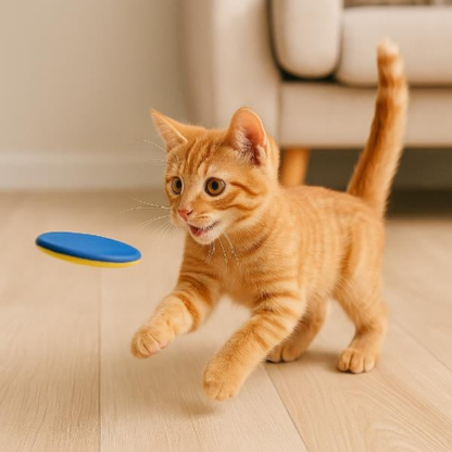 PatiKöşk™ Disk Atan Oyuncak Tabanca (Ürün Kodu: PK 98)