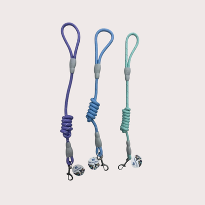 PatiKöşk™ Evcil Hayvan Fitil Gezdirme Tasması (Ürün Kodu: PK 175)