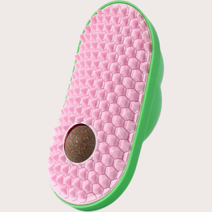 PatiKöşk™ Silikon Kaşıyıcılı Kedi Otu