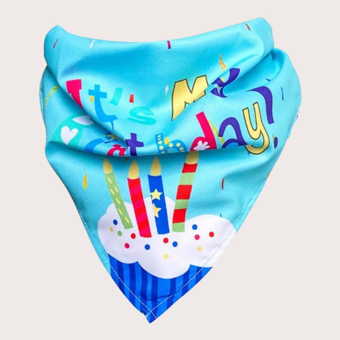 PatiKöşk™ Köpekler İçin Doğum Günü Partisi Seti (Ürün Kodu: PK 97)