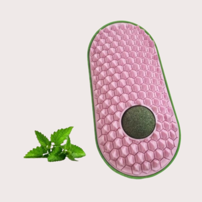 PatiKöşk™ Silikon Kaşıyıcılı Kedi Otu