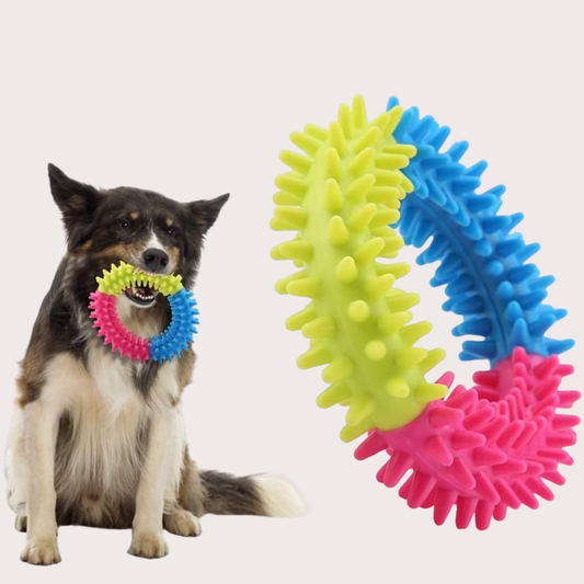 PatiKöşk™ Köpek Isırma Diş Kaşıma Çemberi