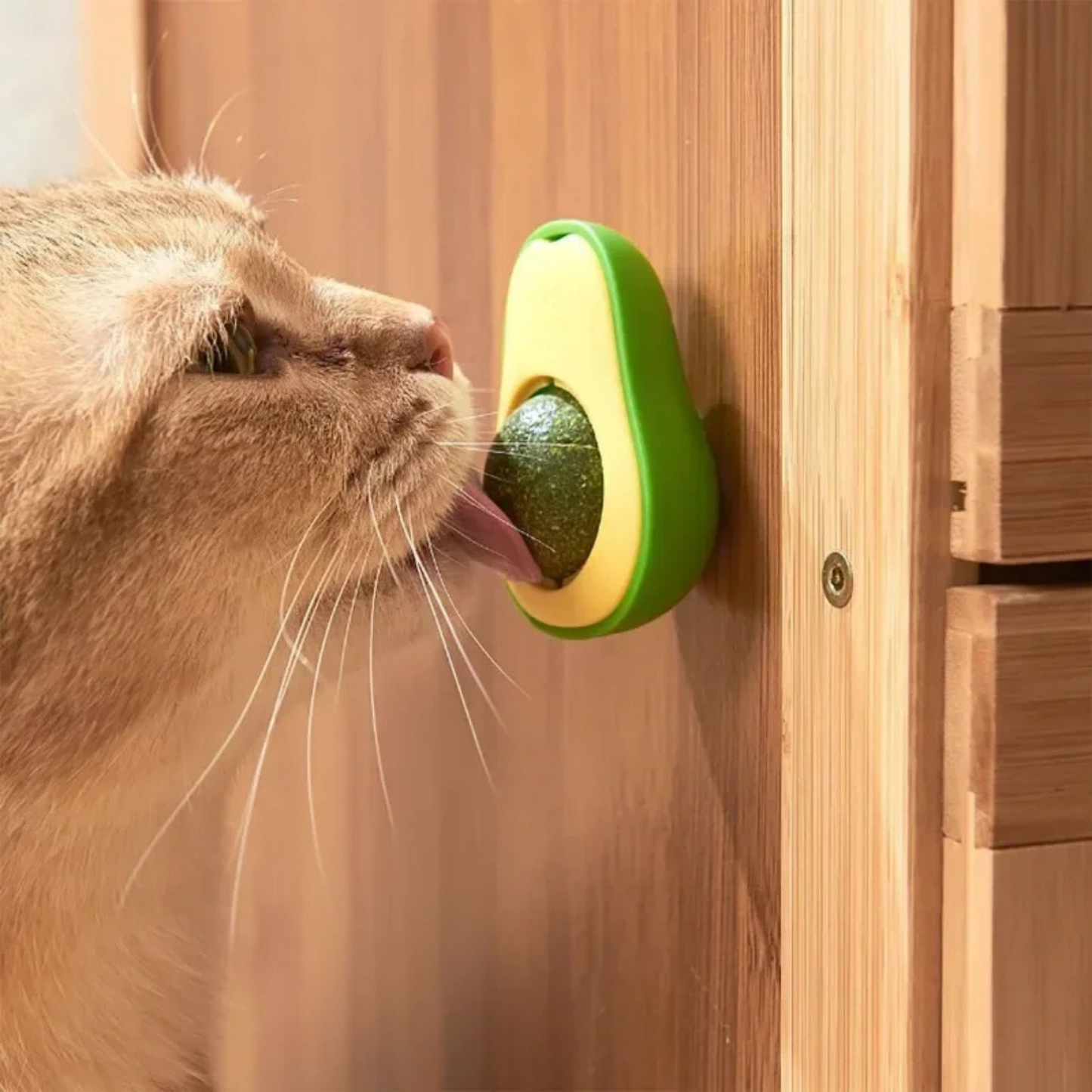 PatiKöşk™ Kedi Nanesi Avokado Oyun Topu