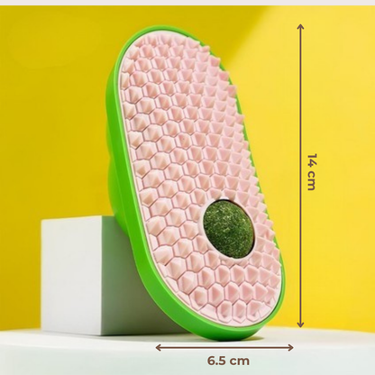 PatiKöşk™ Silikon Kaşıyıcılı Kedi Otu