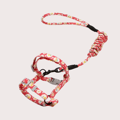 PatiKöşk™ Kedi Gezdirme Göğüs Tasması (Ürün Kodu: PK 71)