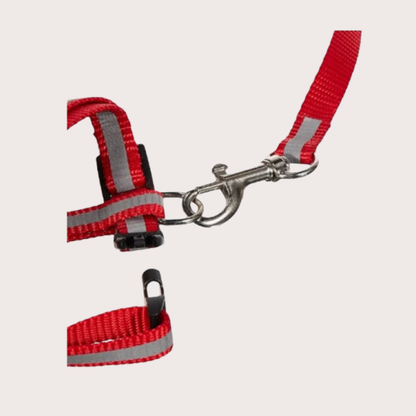 PatiKöşk™ Reflektörlü Kedi Gezdirme Tasması (Ürün Kodu: PK 188)