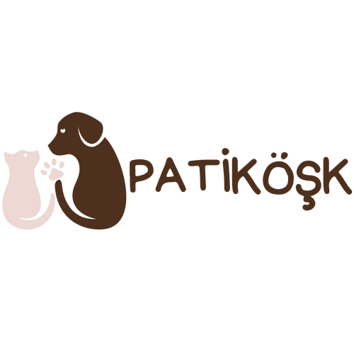 PatiKöşk™