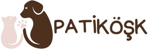 PatiKöşk™