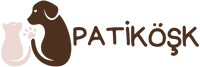 PatiKöşk™